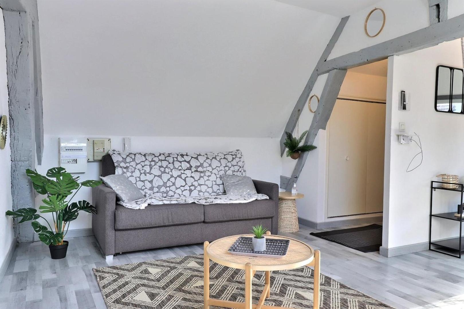 Downtown Apartment - Quiet And Cozy - Mon Groom Troyes Dış mekan fotoğraf